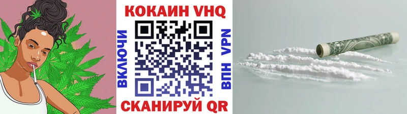 Купить закладки  Гаджиево  COCAIN 97% 
