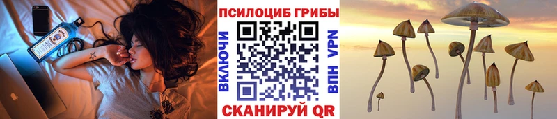 Псилоцибиновые грибы ЛСД Купить закладки Гаджиево