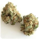 Шишки "White Widow"  (Белая вдова)  Гидропоника -  Бошка VHQ в Гаджиево